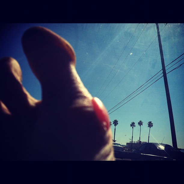 Blurry blister with palms. Malibu.